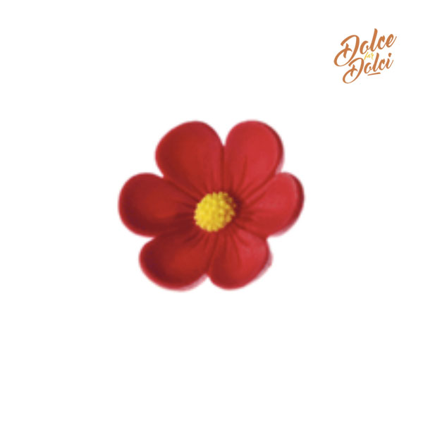 anome-rossa anome-rossa