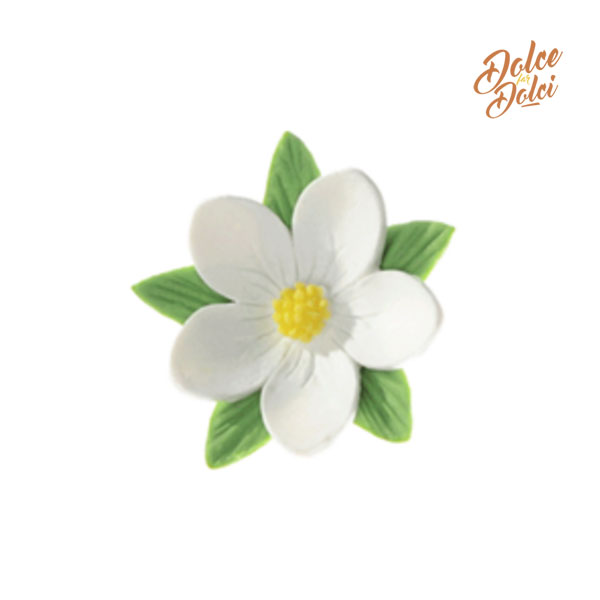 fiorellino-bianco fiorellino-bianco