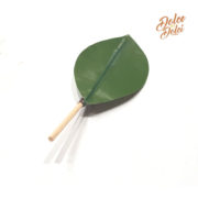 foglia-agrumi foglia-agrumi