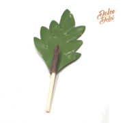 foglia-carota