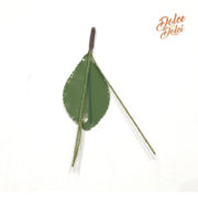 foglia-ciliegia foglia-ciliegia