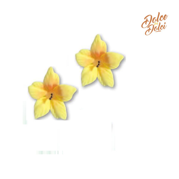 CHIC-CON-PISTILLO-GIALLO CHIC-CON-PISTILLO-GIALLO